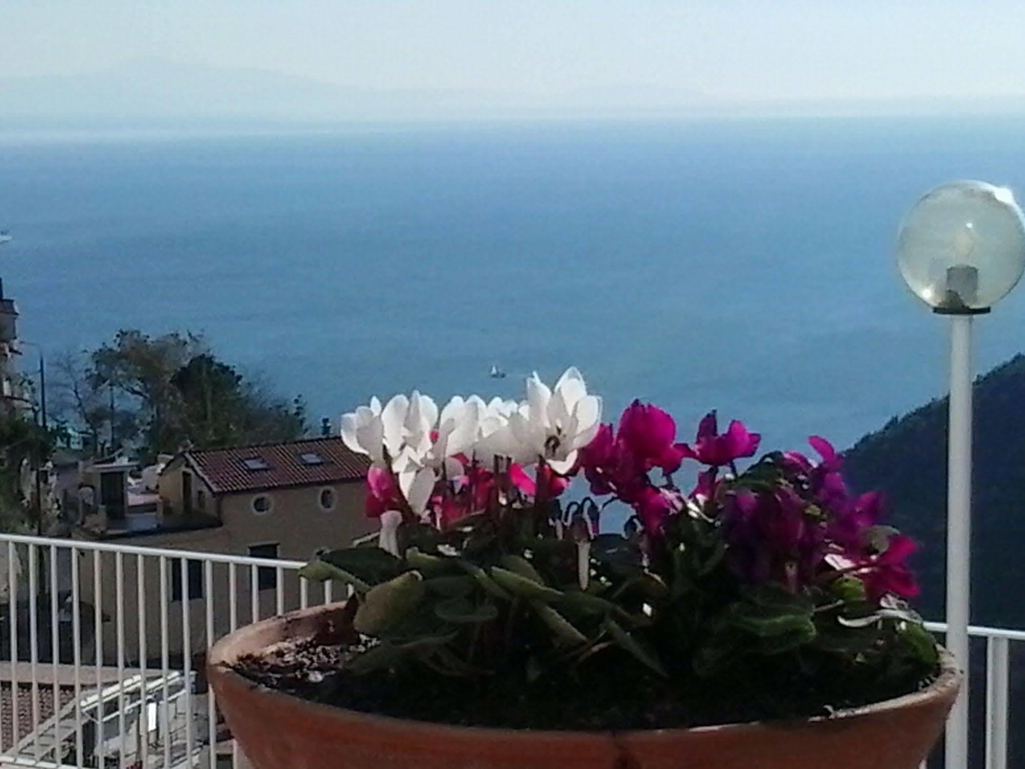 Le Terrazze Di Cristina Bed & Breakfast Vietri Luaran gambar
