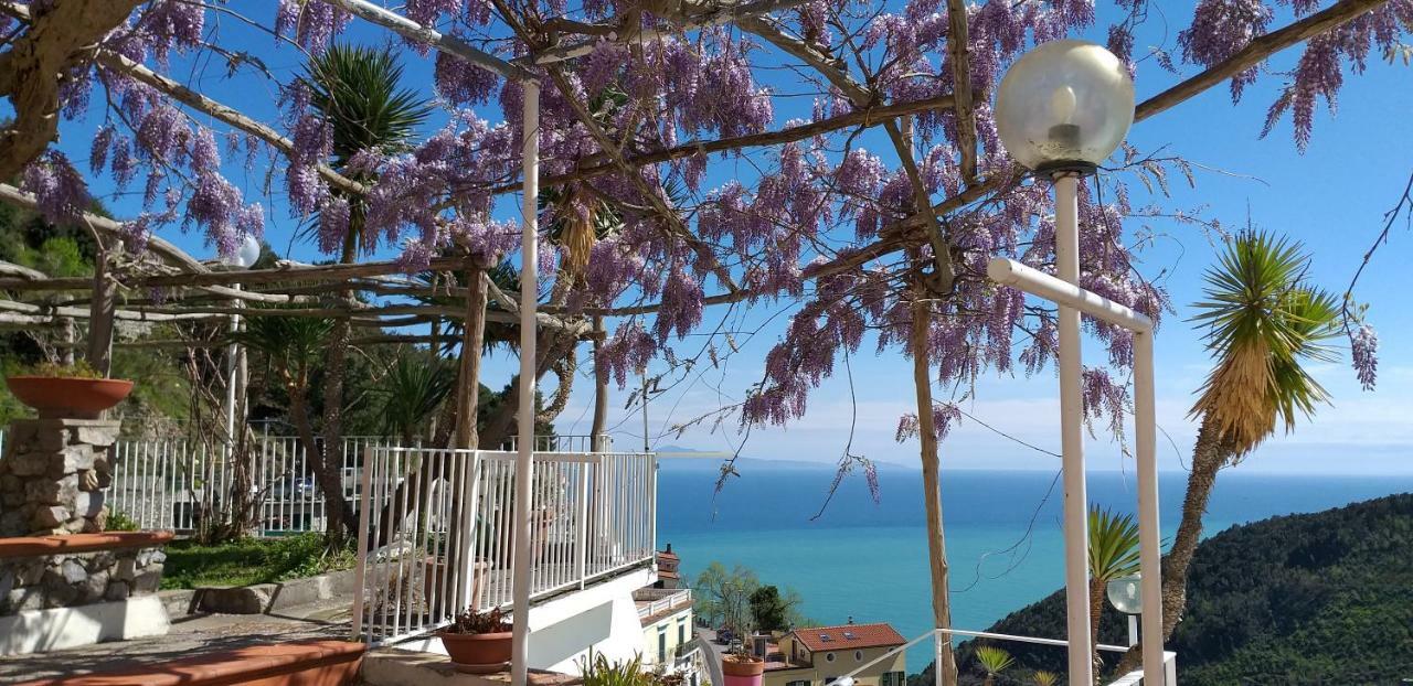 Le Terrazze Di Cristina Bed & Breakfast Vietri Luaran gambar