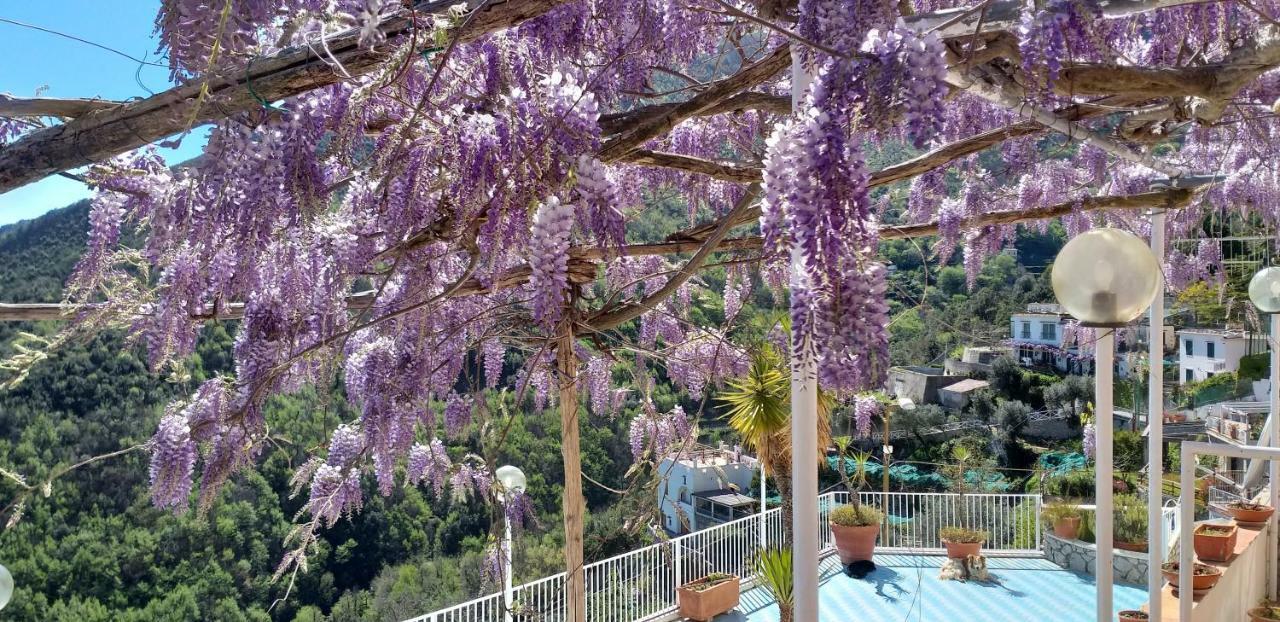 Le Terrazze Di Cristina Bed & Breakfast Vietri Luaran gambar